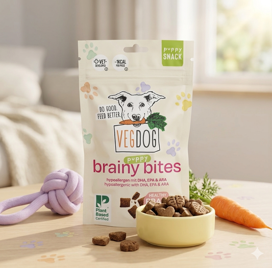 VEGDOG Brainy Bites – Kleine Snacks für große Lernmomente